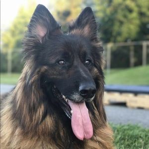 Meet your Posher, Mehrnaz